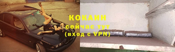 дживик Абинск