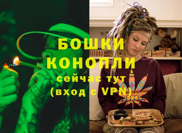 трава Абаза