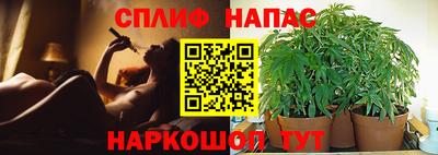 ПСИЛОЦИБИНОВЫЕ ГРИБЫ Лесосибирск